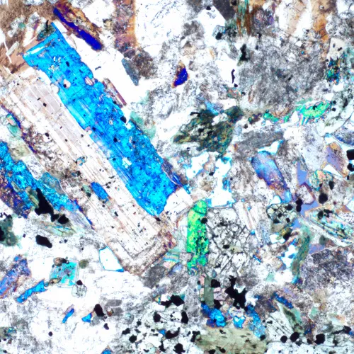 picture MAGUS Pol D850 Polarizing Digital Microscope,  23