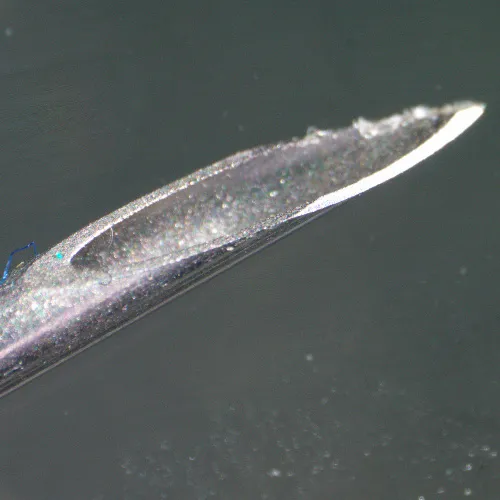 picture MAGUS Stereo D9T Digital Stereomicroscope,  26