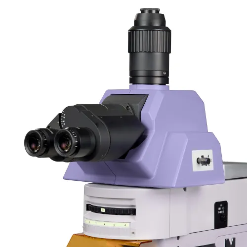 image MAGUS Lum 490L Fluorescence Microscope,  9