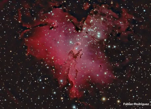 photograph Meade LX850 12" F/8 ACF OTA,  6