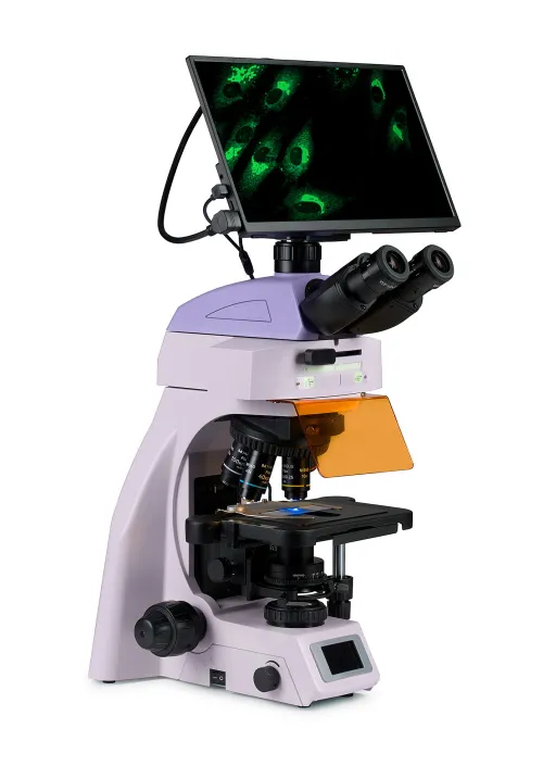 picture MAGUS Lum D450L LCD Fluorescence Digital Microscope,  3
