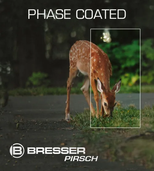 picture Bresser Pirsch 10x42 Binoculars,  11