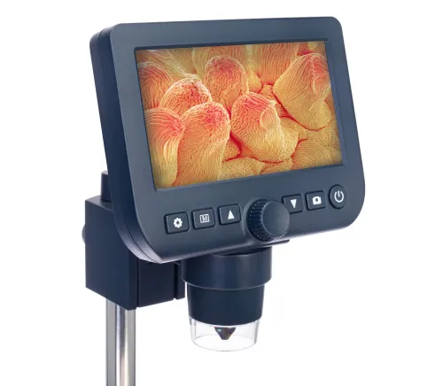 picture Levenhuk Discovery Artisan 64 Digital microscope,  5