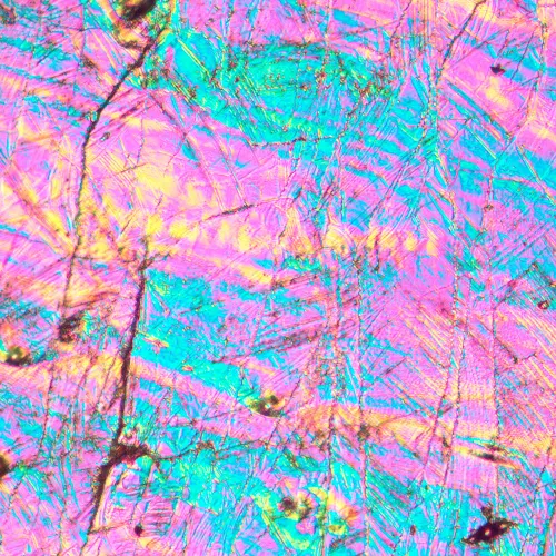 image MAGUS Metal V700 DIC Metallurgical Inverted Microscope,  16