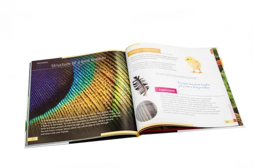 picture Invisible World. Knowledge book. Hardcover,  10