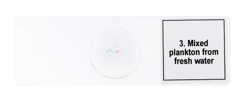 picture Levenhuk Discovery Prof Specimens DPS 5. “Life in a Drop of Water”,  7