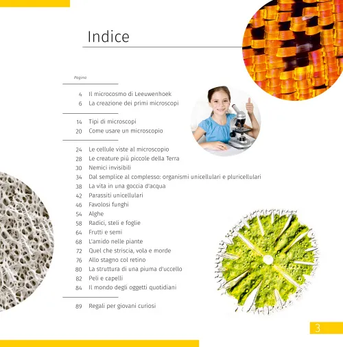 photograph Invisible World. Knowledge book,  7