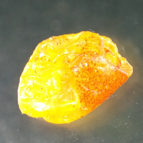 photo MAGUS Stereo A8 Stereomicroscope,  15