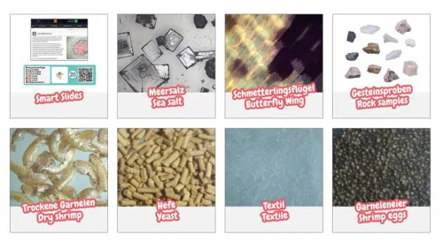 photograph Bresser Junior Microscopy Set,  4