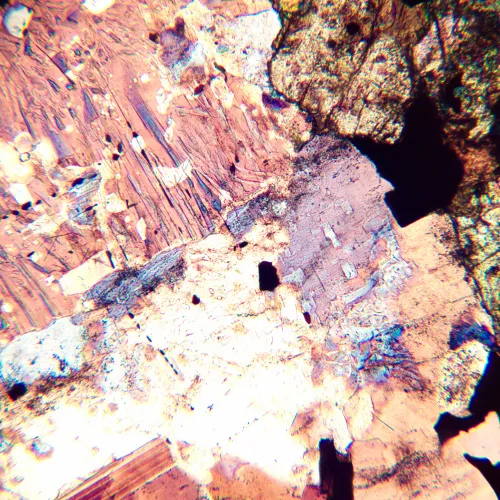 photograph MAGUS Pol 800 Polarizing Microscope,  16