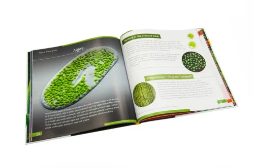 picture Invisible World. Knowledge book. Hardcover,  9