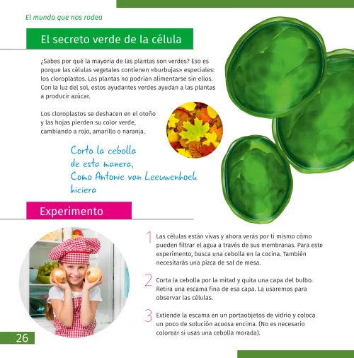 photograph Invisible World. Knowledge book,  3