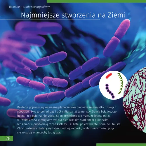 picture Invisible World. Knowledge book. Hardcover,  9