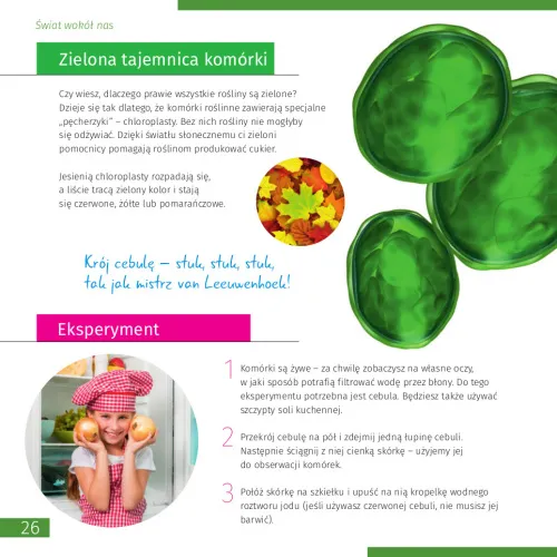 picture Invisible World. Knowledge book. Hardcover,  8