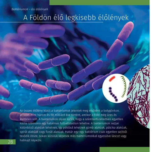 picture Invisible World. Knowledge book. Hardcover,  9