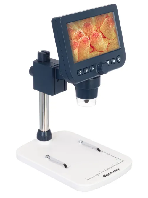 picture Levenhuk Discovery Artisan 64 Digital microscope,  3