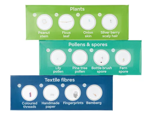 image Levenhuk Discovery Flora 12 Prepared Slides Set,  3