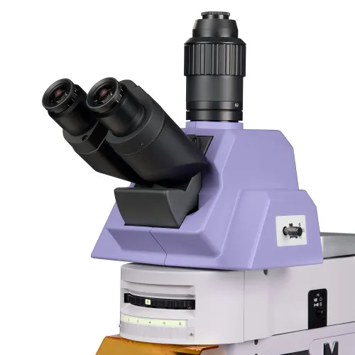 image MAGUS Lum 490L Fluorescence Microscope,  10