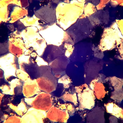 picture MAGUS Pol D850 Polarizing Digital Microscope,  26