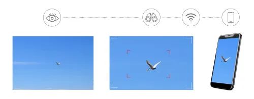 picture Levenhuk Kelvin Snap ED 8x42 Digital Photomonocular,  4