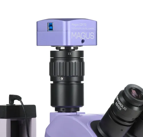 photo MAGUS Stereo D7T PLUS Digital Stereomicroscope,  4