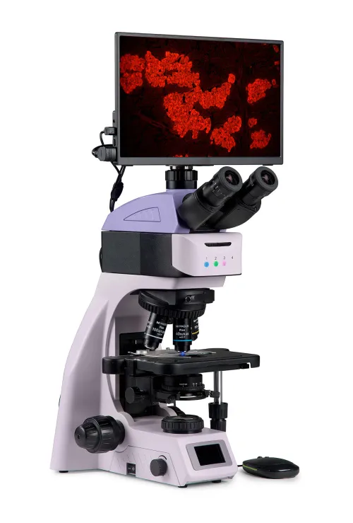 photograph MAGUS Lum D460L LCD Fluorescence Digital Microscope,  3