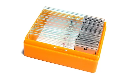 photo Levenhuk N18 NG Prepared Slides Set,  5