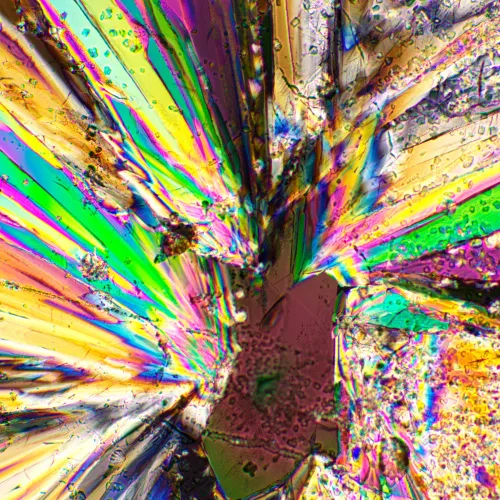 image MAGUS SPD1 Polarizer/Analyzer Set,  4