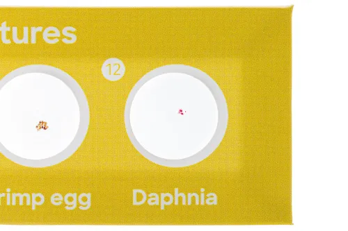 picture Levenhuk Discovery Fauna 12 Prepared Slides Set,  7