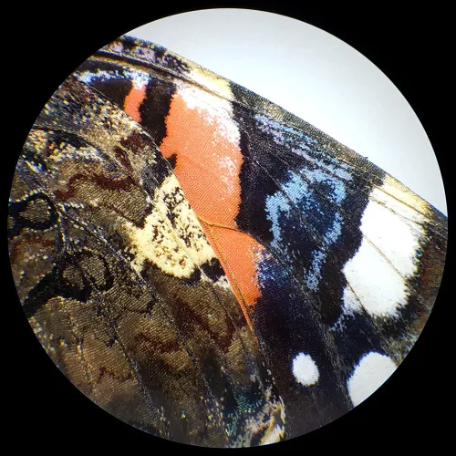 image Bresser Analyth STR 10x - 40x stereo microscope,  6