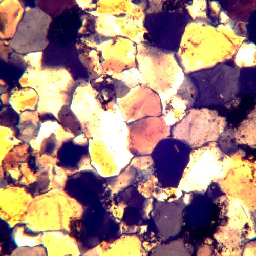 photograph MAGUS Pol 800 Polarizing Microscope,  18