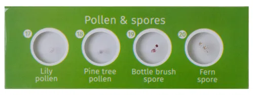 picture Levenhuk LabZZ P12 Plants Prepared Slides Set,  3