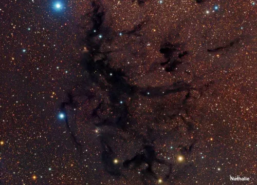 photograph Meade LX200 14" F/10 ACF OTA,  4