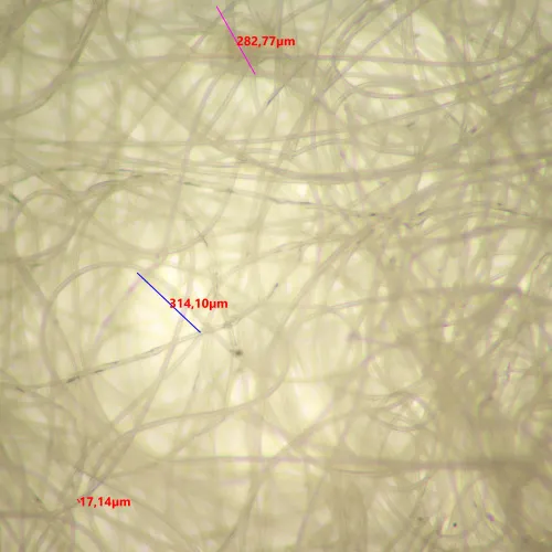 picture MAGUS Stereo 9T Stereomicroscope,  20