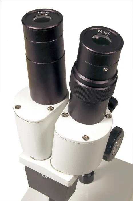 photograph Levenhuk 2ST Microscope,  4