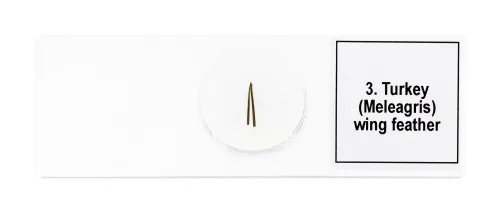 photo Levenhuk Discovery Prof Specimens DPS 5. “Birds”,  7