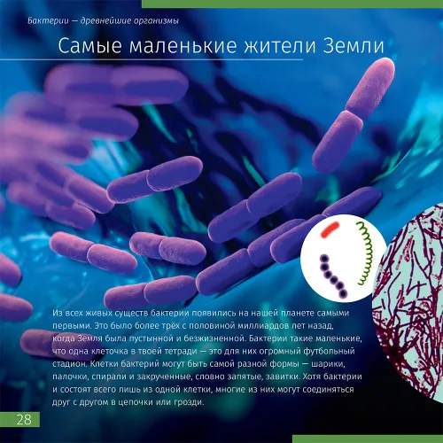 photograph Invisible World. Knowledge book,  5