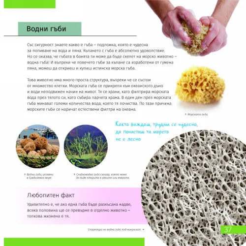 picture Invisible World. Knowledge book. Hardcover,  7