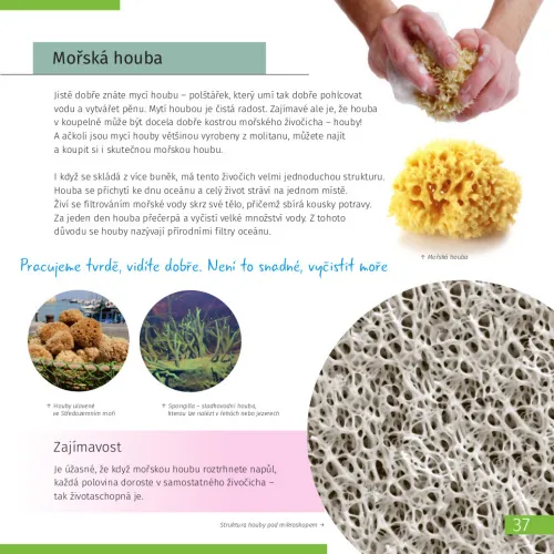 photograph Space. Microworld. Knowledge Book 2 vol. Hardcover,  10