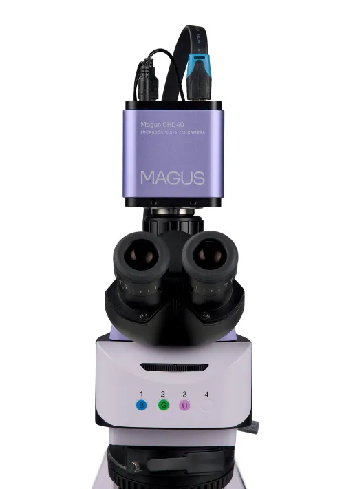 photograph MAGUS Lum D460L LCD Fluorescence Digital Microscope,  12