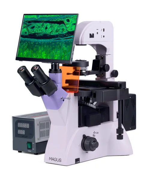 image MAGUS Lum VD500 LCD Fluorescence Inverted Digital Microscope,  3