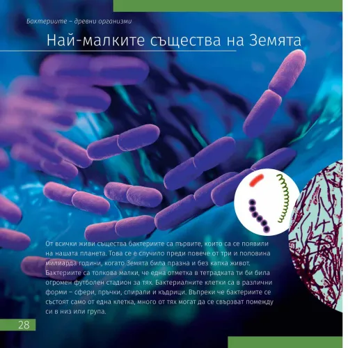 picture Invisible World. Knowledge book. Hardcover,  5