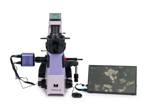 photograph MAGUS Bio VD360 LCD Biological Inverted Digital Microscope,  4