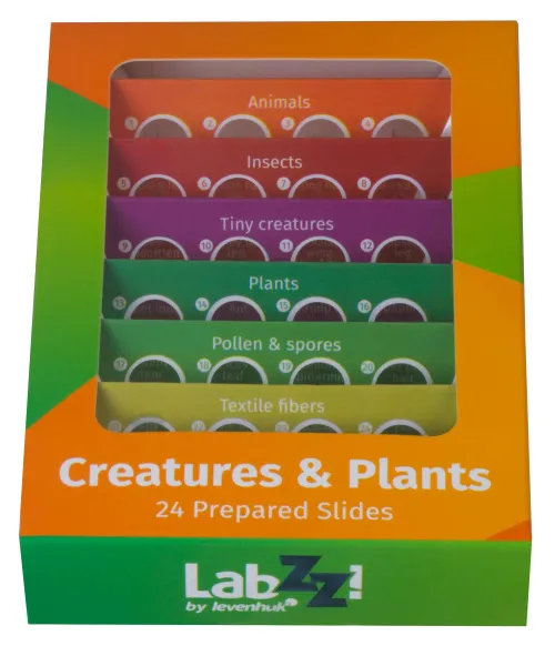 photo Levenhuk LabZZ CP24 Creatures & Plants Prepared Slides Set,  11