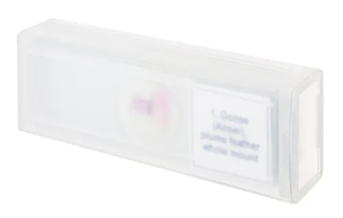 photo Levenhuk Discovery Prof Specimens DPS 5. “Birds”,  4