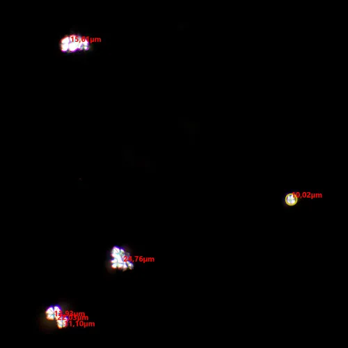 image MAGUS SPD1 Polarizer/Analyzer Set,  8