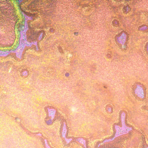 image MAGUS Metal V790 DIC Metallurgical Inverted Microscope,  22