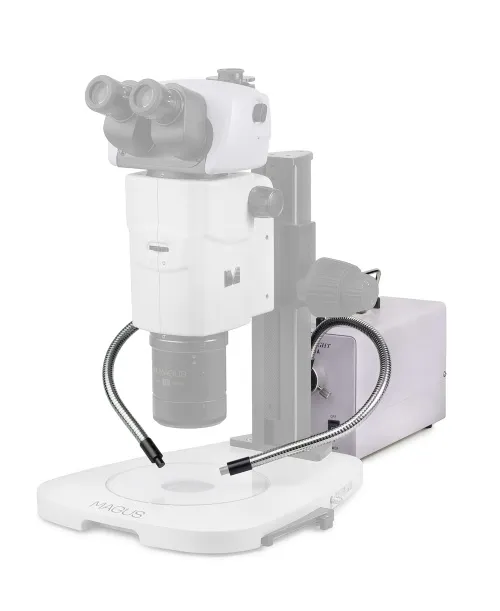 photograph MAGUS CLI18T Cold Light with dual light guide,  4