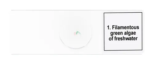 image Levenhuk Discovery Prof Specimens DPS 5. “Biology”,  7