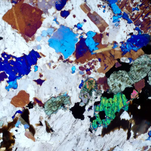 photograph MAGUS Pol D800 Polarizing Digital Microscope,  19